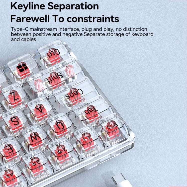 T-WOLF T40 68-Keys RGB Mixed Light Office Gaming Transparent Mechanical Keyboard(Black)