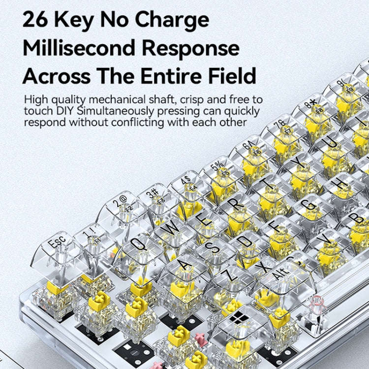 T-WOLF T40 68-Keys RGB Mixed Light Office Gaming Transparent Mechanical Keyboard(Black)