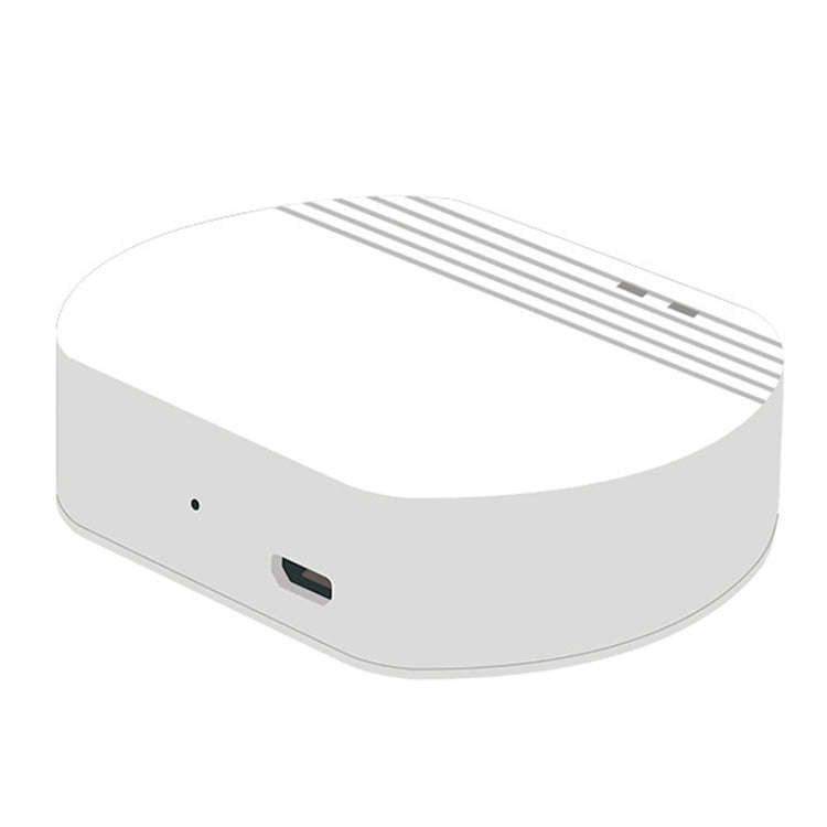 Ewelink Whole House Smart Home ZigBee Wireless Gateway with SONOFF Gateway Devices(EV-WG-2)