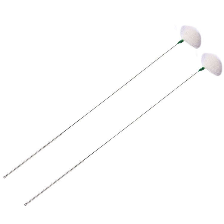 2pcs Medium Heads Silver Needle Goose Quill Stick Ear Picking Tool