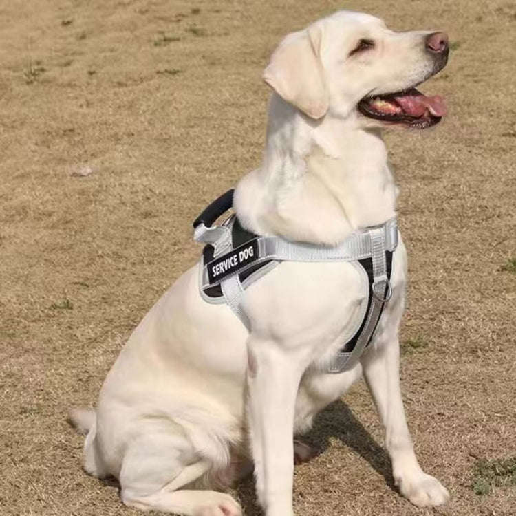Large Dog Explosion Proof Punch Chest Harness Dog Travelling Leash, Style: Black+2m Round Rope(M)
