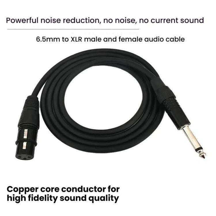 VEGGIEG 3Pin XLR Speaker Loudspeaker Cable Mixer Audio Microphone Cable, Length: 2m(6.5mm To XLR ...