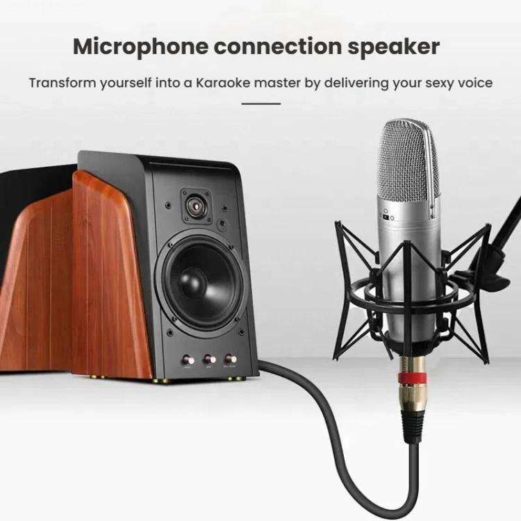 VEGGIEG 3Pin XLR Speaker Loudspeaker Cable Mixer Audio Microphone Cable, Length: 8m(6.5mm To XLR ...