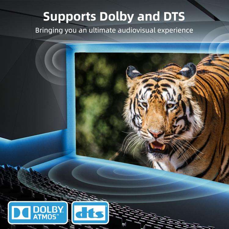 DP201 2 In 1 Out DisplayPort Switch 8K 30Hz HD Splitter For Computer Screen