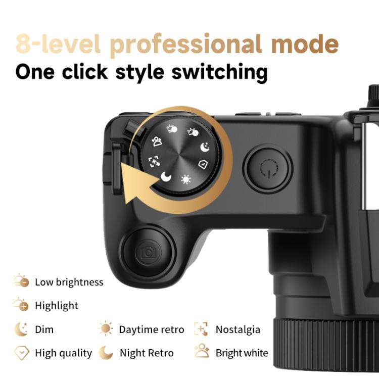 HD Retro Digital Camcorder Camera Portable Micro DSLR Camera, Model: DC101 + Fill Light