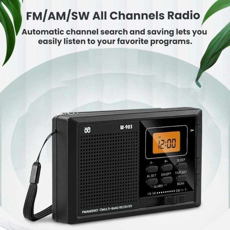 WDK FM/AM/SW Multi-Band LCD Screen Clock-Controlled Stereo Digital Radio, Specification: For EU(B...
