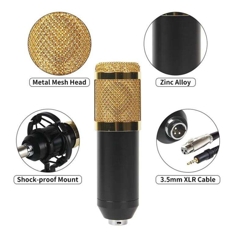 Dual BM800 Condenser Microphone with V8S Live Sound Card Kit Podcast Equipment Bundle Adjustable ...