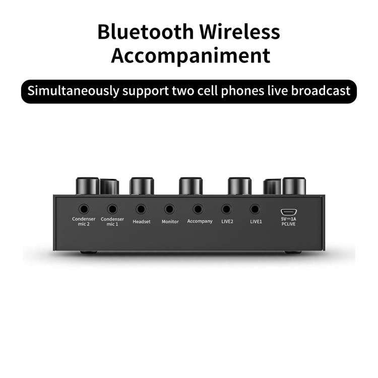 Dual BM800 Condenser Microphone with V8S Live Sound Card Kit Podcast Equipment Bundle Adjustable ...