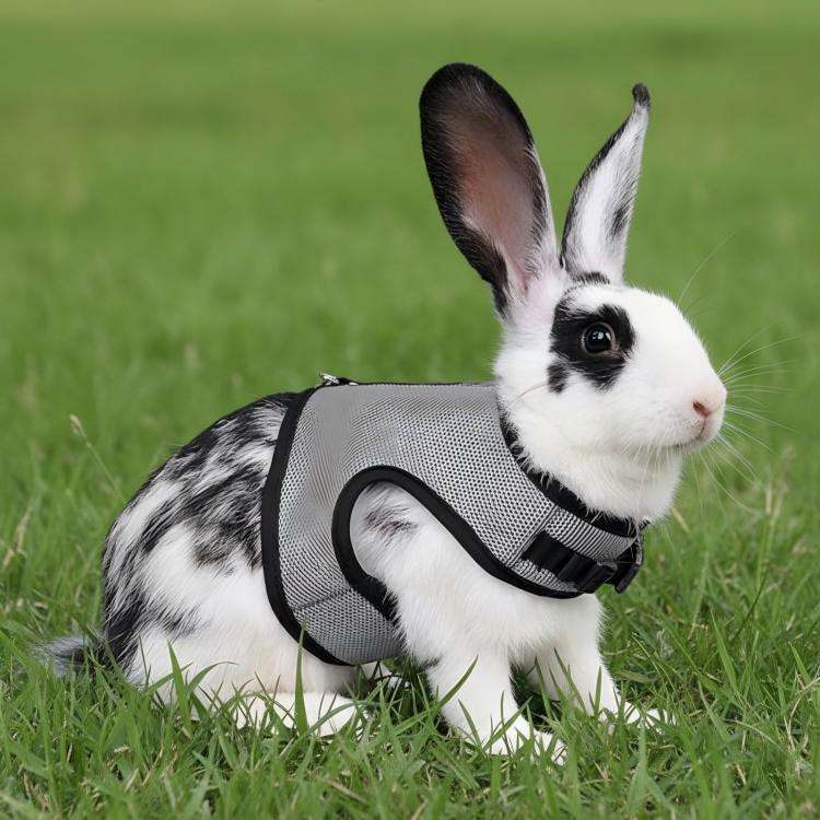 Rabbit Ferret Harness & Leash Small Pet Vest-Style Harness Leash, Size: L(Grey)