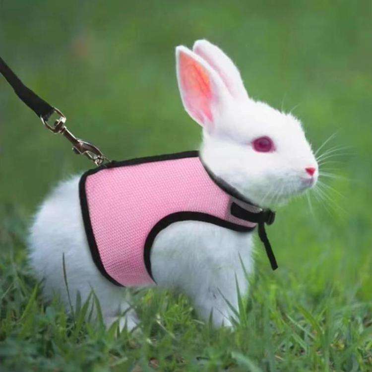 Rabbit Ferret Harness & Leash Small Pet Vest-Style Harness Leash, Size: M(Black)