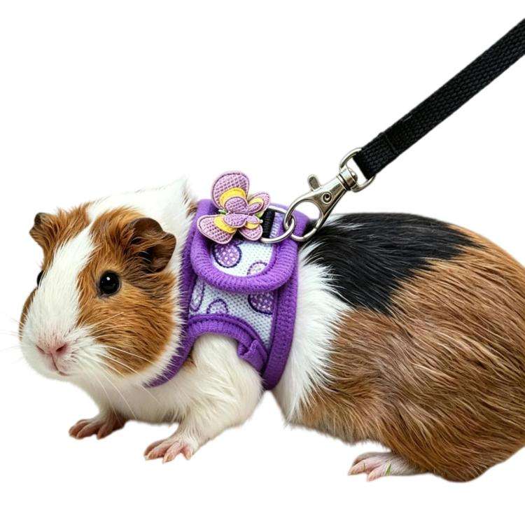 Guinea Pig Chinchilla Harness, Outdoor Walking Leash For Small Pets, Spec: Purple M