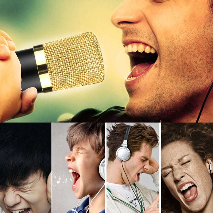 FIFINE F-700 Professional Condenser Sound Recording Microphone with Shock Mount for Studio Radio ...