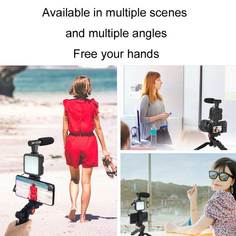KIT-01LM 3 in 1 Video Shooting LED Light Portable Tripod Live Microphone, Specification:Battery M...