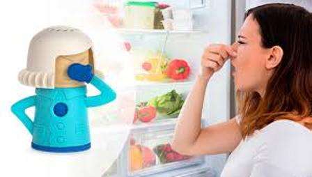 Microwave Cleaner and Fridge Deodorizer.