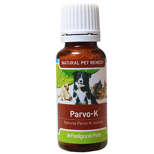 Parvo-K: Homeopathic Remedy for Canine Parvovirus