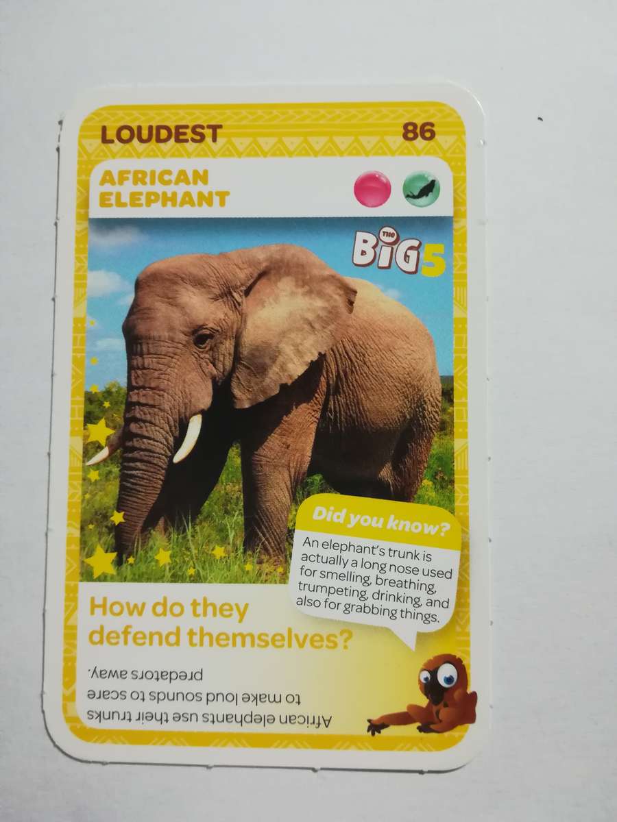 Pick n Pay South African Super Animals (Blue) - Card 86 - African Elehphant