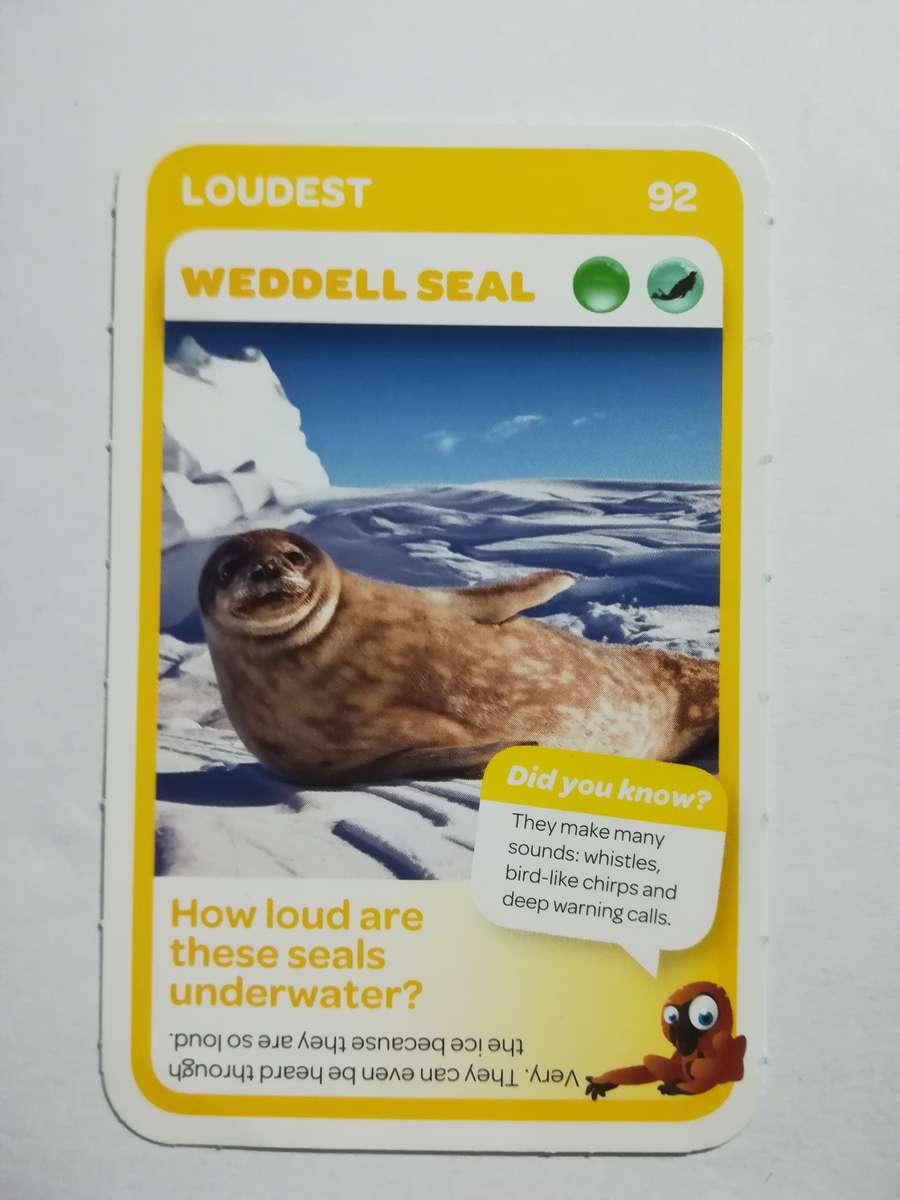 Pick n Pay South African Super Animals (Blue) - Card 92 - Weddell Seal