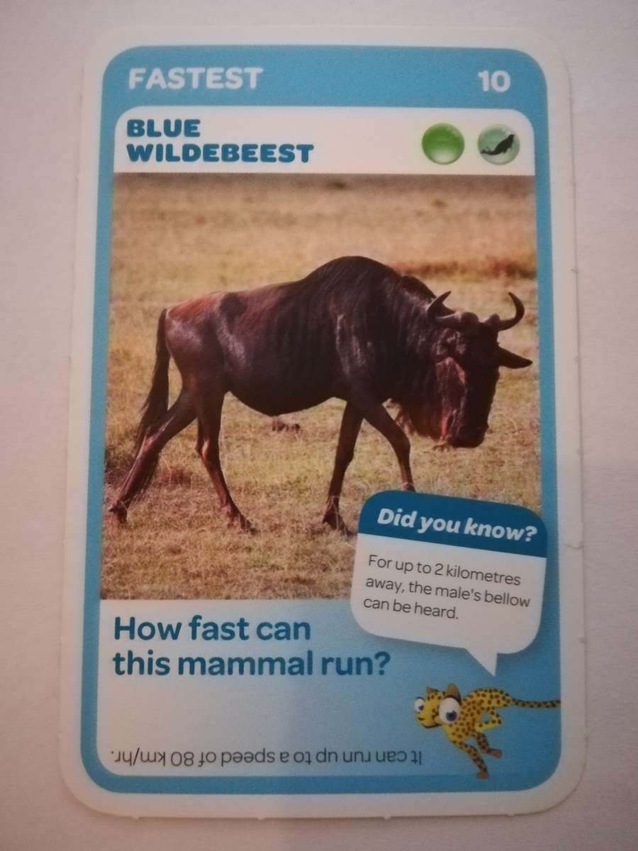 Pick n Pay South African Super Animals (Blue) - Card 10 - Blue Wildebeest