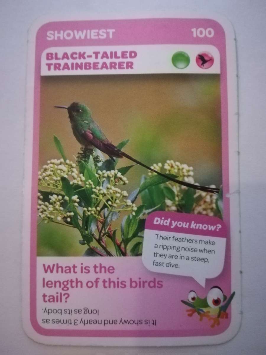 Pick n Pay South African Super Animals (Blue) - Card 100 - Black-Tailed Trainbearer