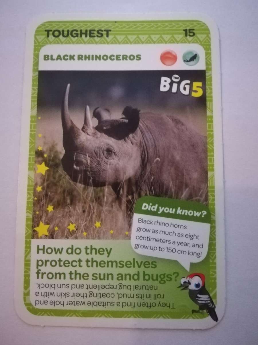 Pick n Pay South African Super Animals (Blue) - Card 15 - Black Rhinoceros