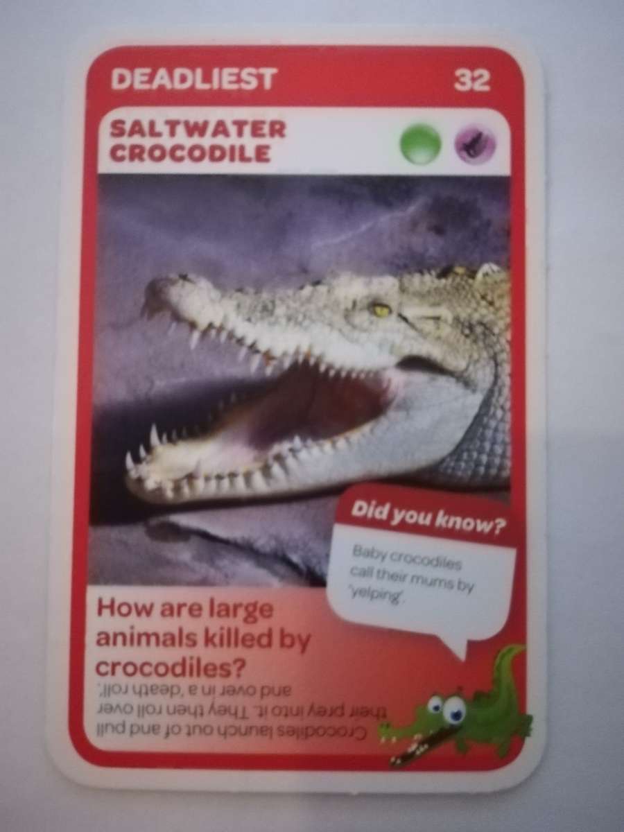 Pick n Pay South African Super Animals (Blue) - Card 32 - Saltwater Crocodile
