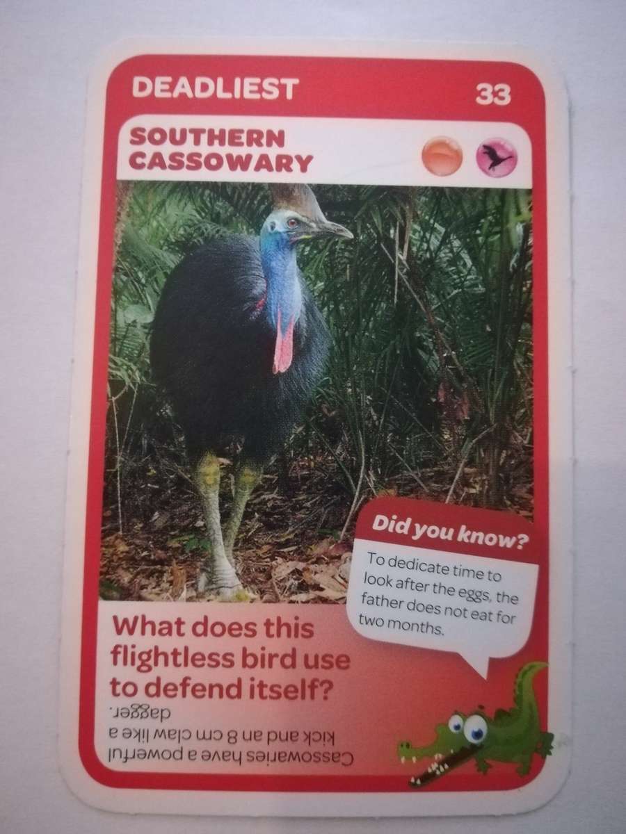 Pick n Pay South African Super Animals (Blue) - Card 33 - Southern Cassowary