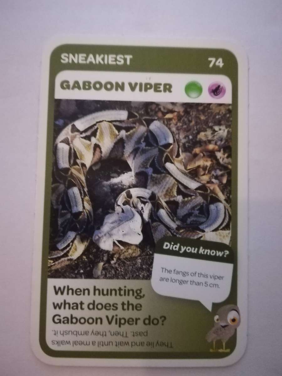 Pick n Pay South African Super Animals (Blue) - Card 74 - Gaboon Viper