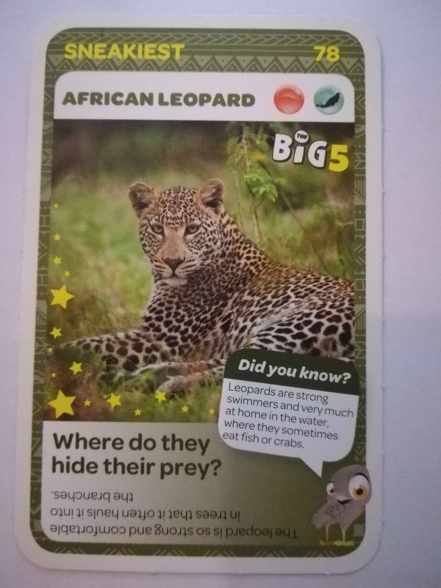 Pick n Pay South African Super Animals (Blue) - Card 78 - African Leopard