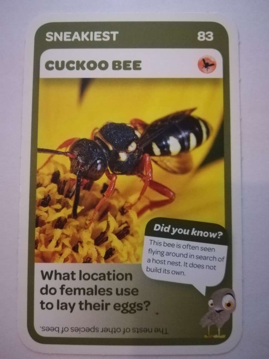 Pick n Pay South African Super Animals (Blue) - Card 83 - Cuckoo Bee