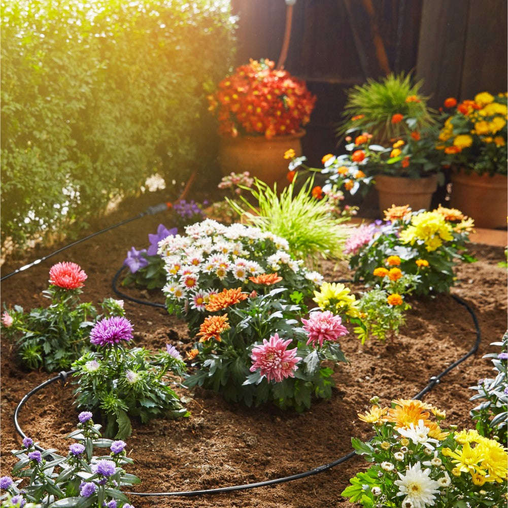 GARDENA Micro-Drip Start Set for Flower Pots - Medium + FREE PLANT!T Water Timer