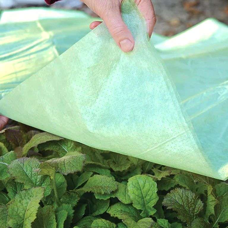 Frost Cover Roll (Green) 2m Width (Sold @ R8 Per Meter)