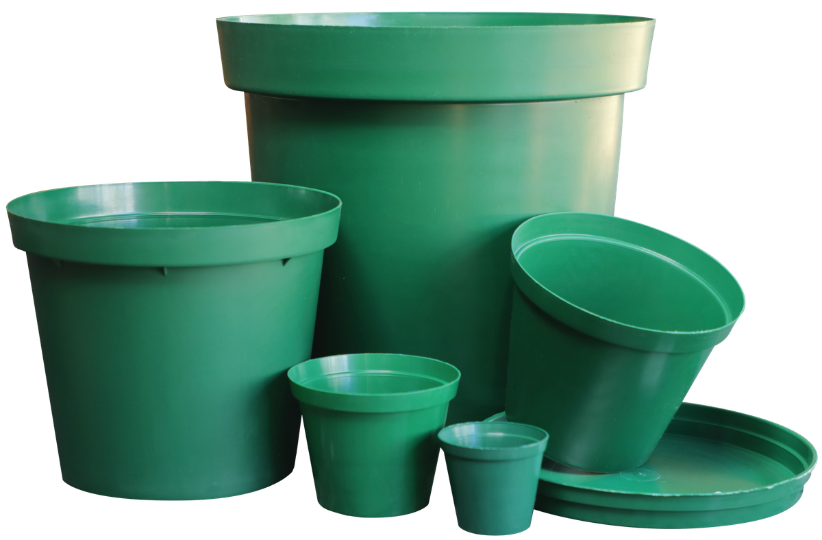 Plastic Pot - Green (50% Off)