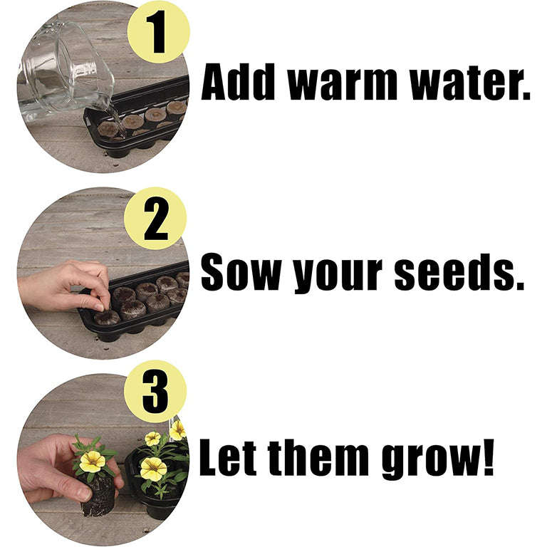 Jiffy 12 Cell Mini Green House / Terrarium