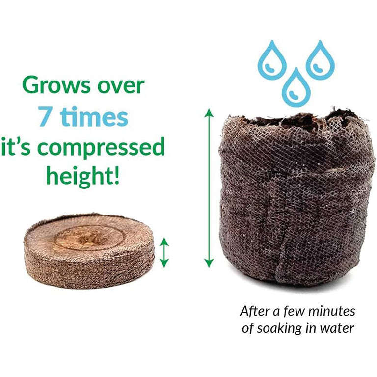 Jiffy 12 Cell Mini Green House / Terrarium