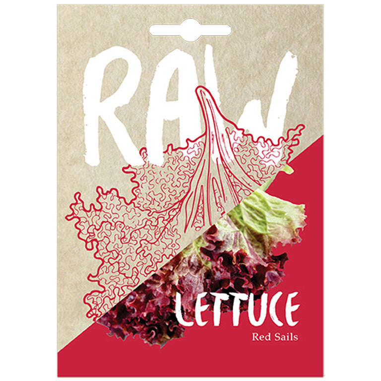 Lettuce Red Sails Seeds