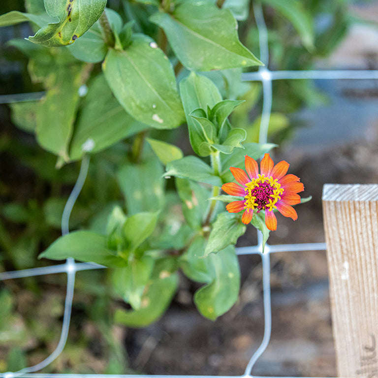 LightHouse Trellis Netting
