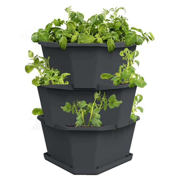 PAUL POTATO (Stackable 3 Level Grow Pot) + Incl Seed Potatoes