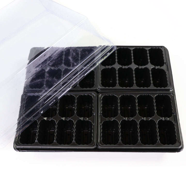 32 Cell Seedling Terrarium / Propagator