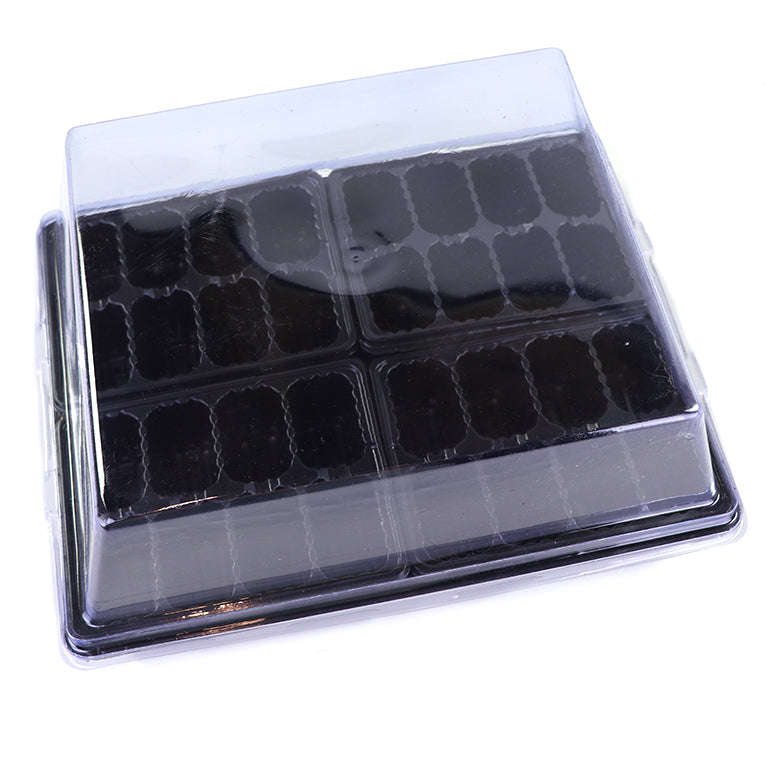 32 Cell Seedling Terrarium / Propagator