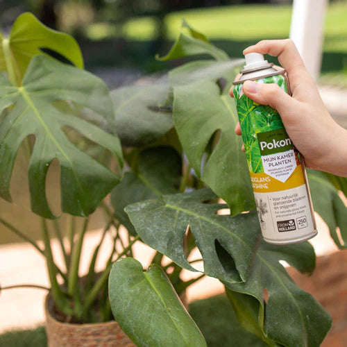 Pokon Leaf Shine - 250ml