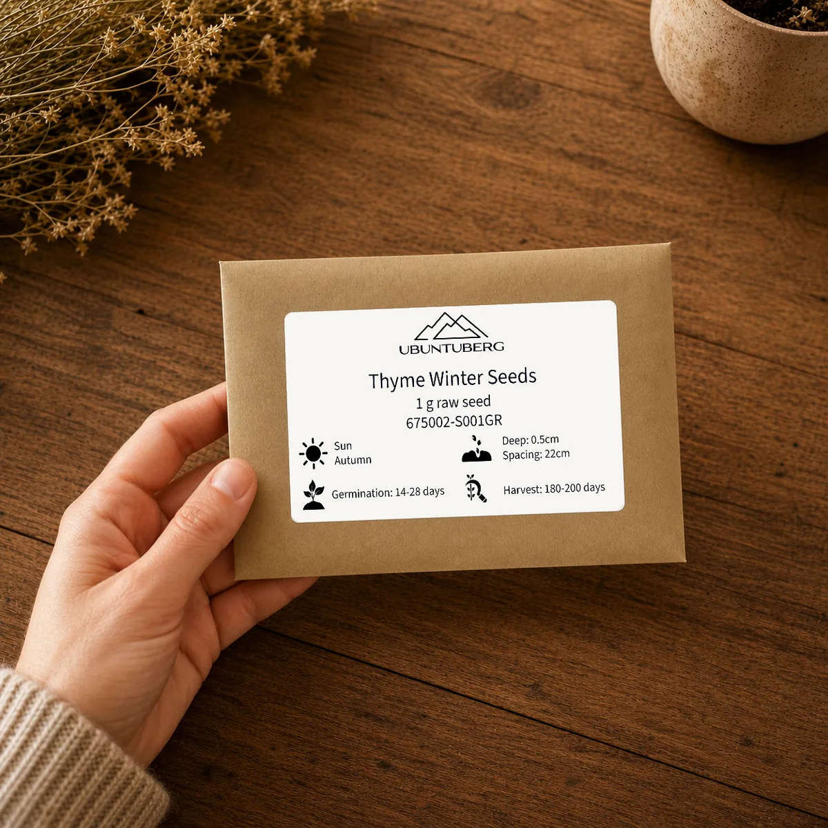 Thyme Winter Seeds