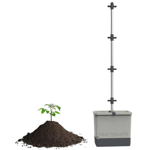 TOM TOMATO (Self Watering Pot)