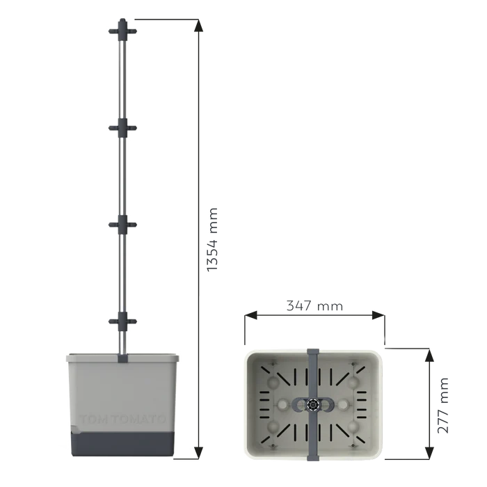 TOM TOMATO (Self Watering Pot)