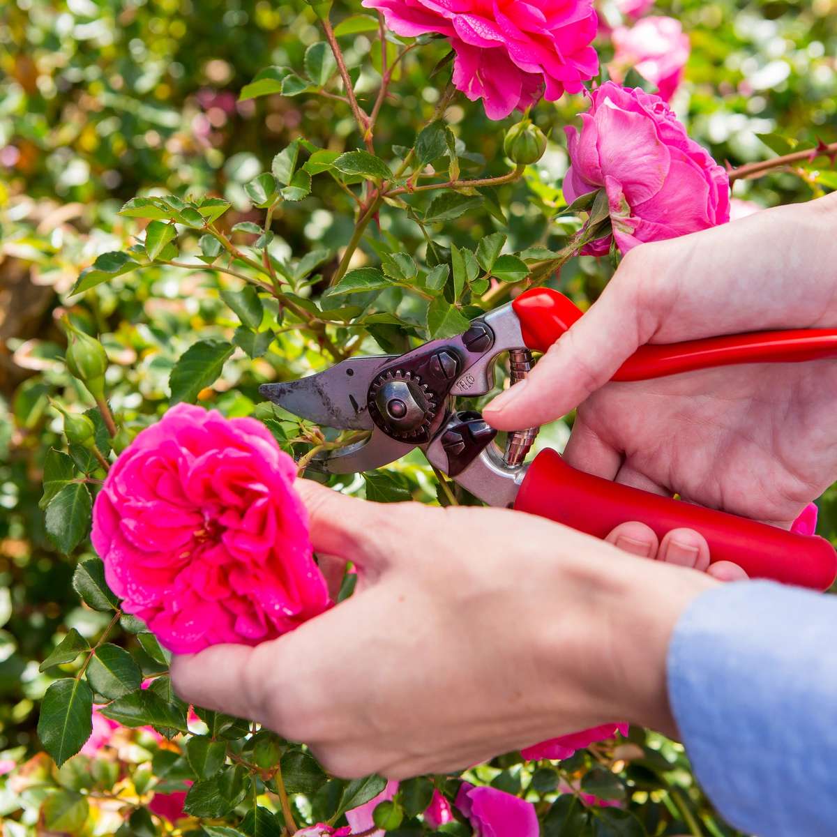 FELCO 15  Bypass Pruning Secateurs