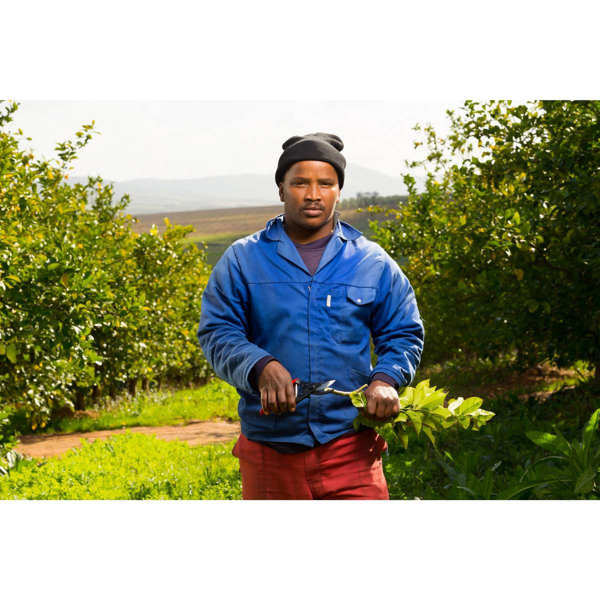 FELCO 5  Bypass Pruning Secateurs