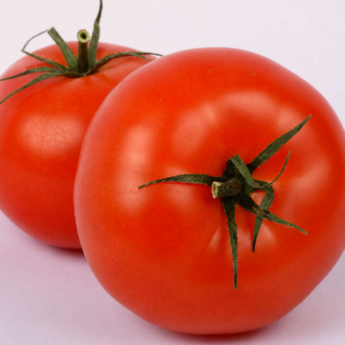 Tomato Moneymaker Seeds