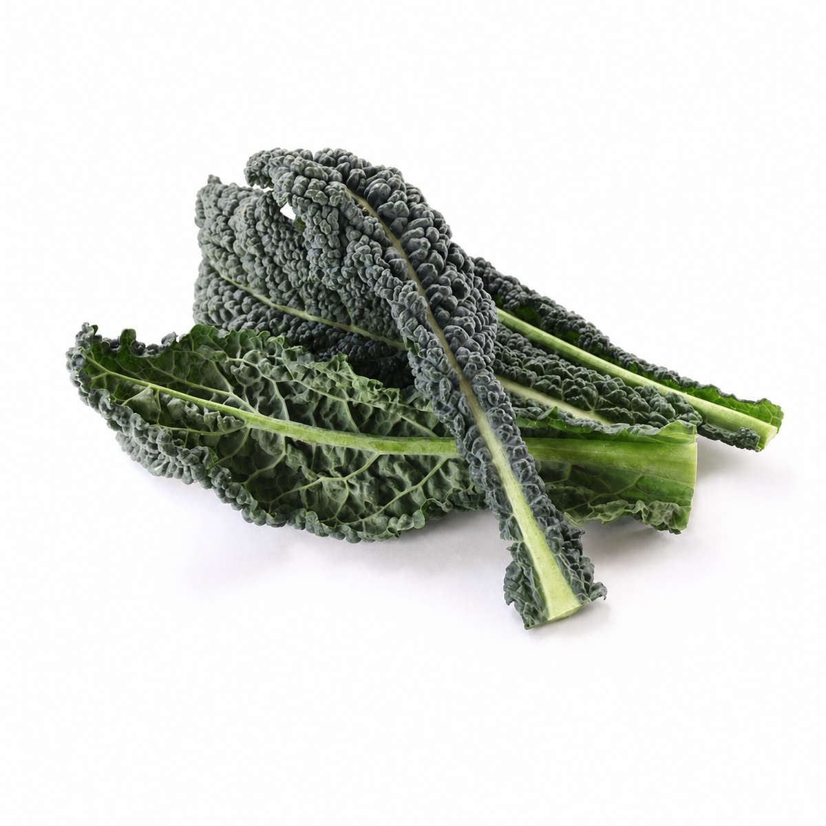 Kale Vates Blue Curled Seeds