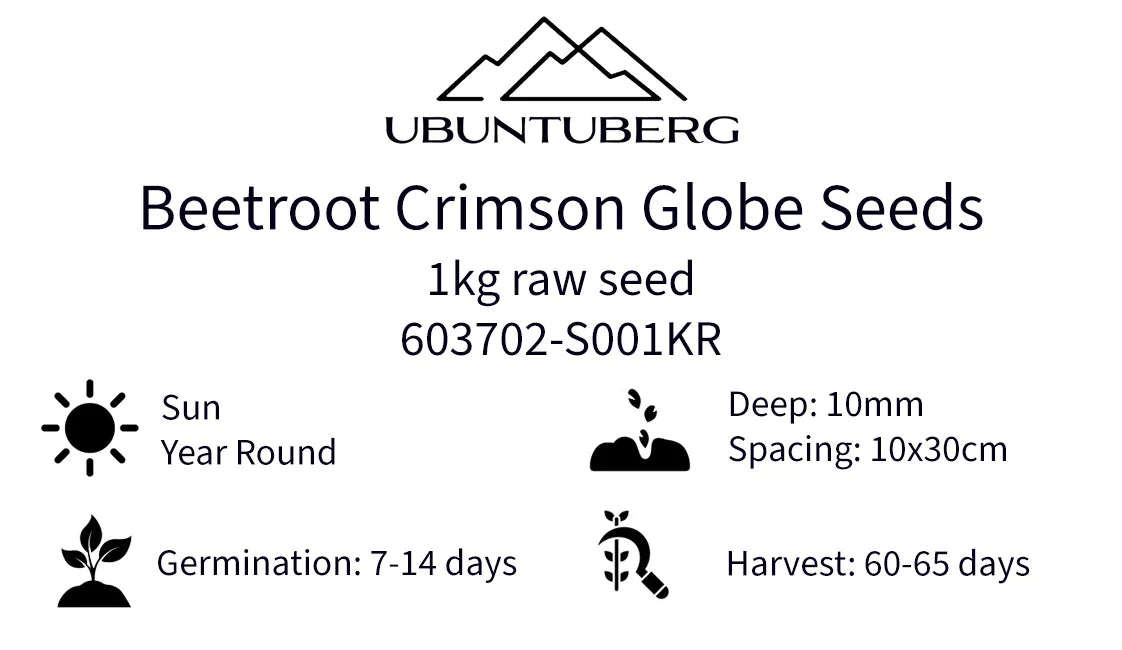 Beetroot Crimson Globe Seeds