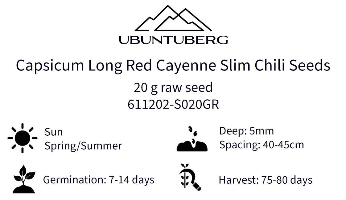 Capsicum Long Red Cayenne Slim - Chili Seeds