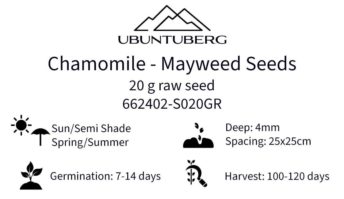 Chamomile - Mayweed Seeds